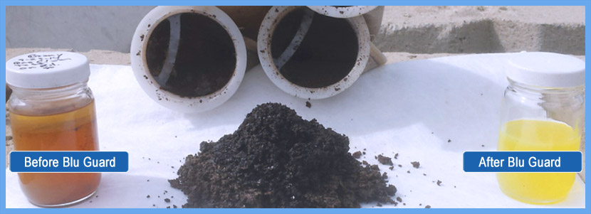 comparison of two containers holding fuel before and after Blu Guard fuel maintenance service